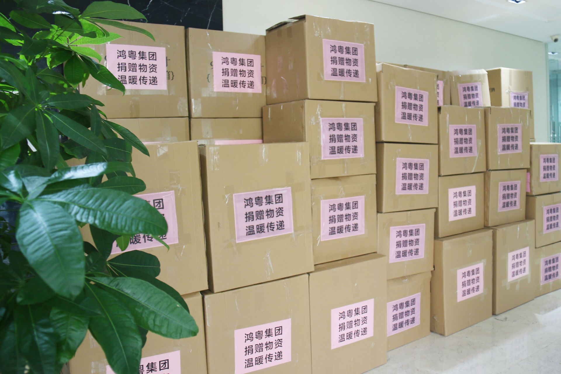 北京星辉碳交易平台有限公司公益回顾丨家国同欢月同圆 温暖满载甘孜州(图1)
